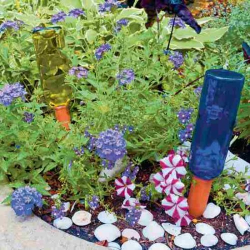 5 Hacks for Your Organic Garden